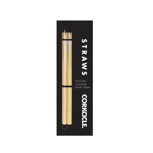 Cocktail Straw 2-Pack