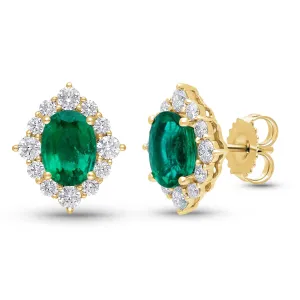 Motif Earrings - YG